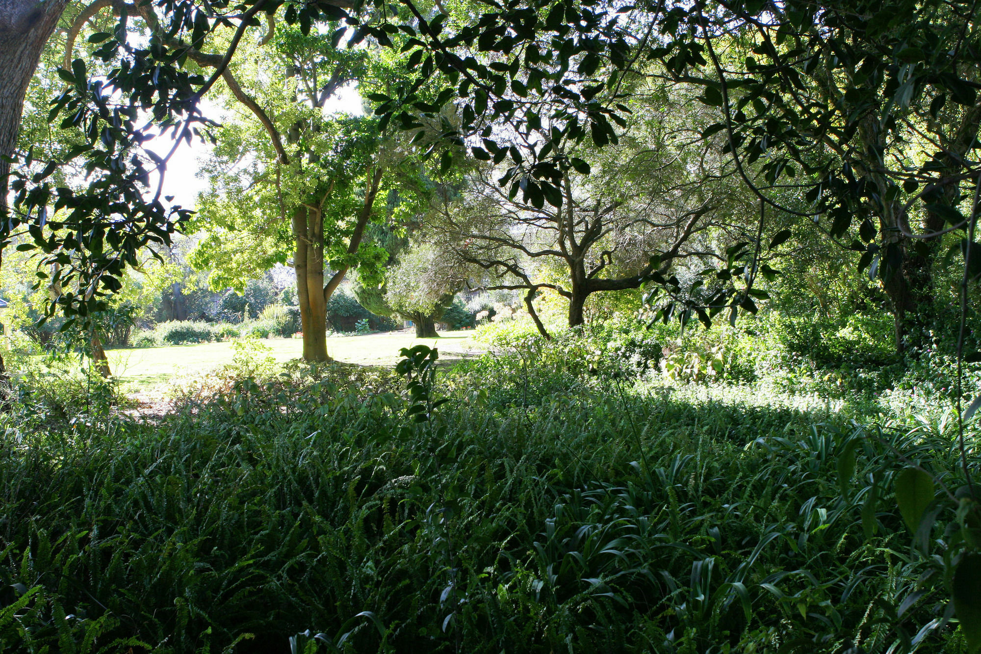 Avemore Wag N Bietjie No 1 Stellenbosch Extérieur photo